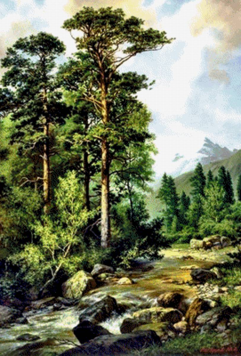 Сосновый бор у реки. - камни, река, лес, сосны, лето - предпросмотр