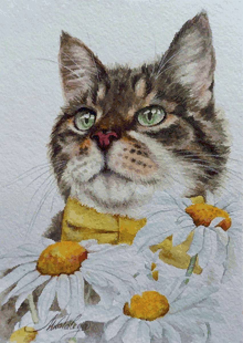 Ромашка - предпросмотр