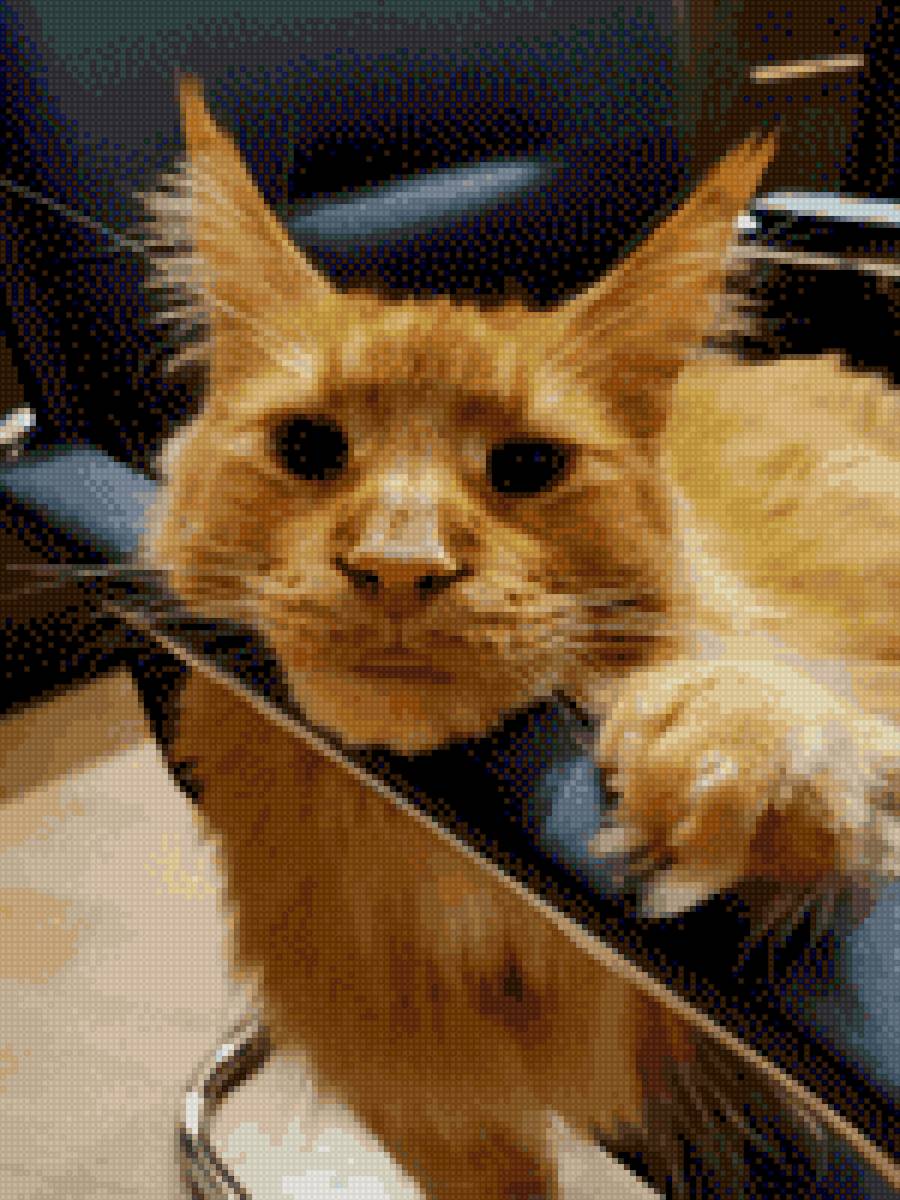 Персик - предпросмотр