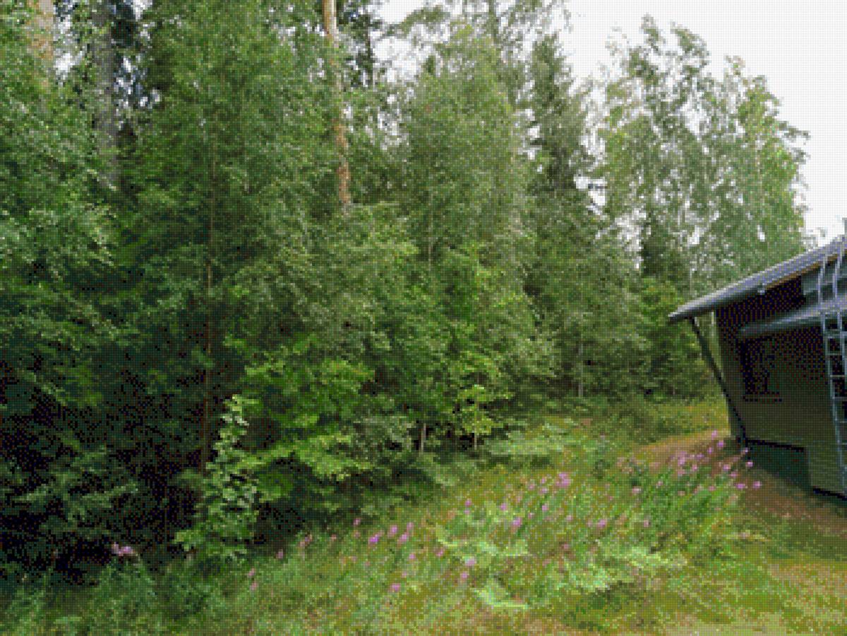 Лесной домик - лес, дом - предпросмотр