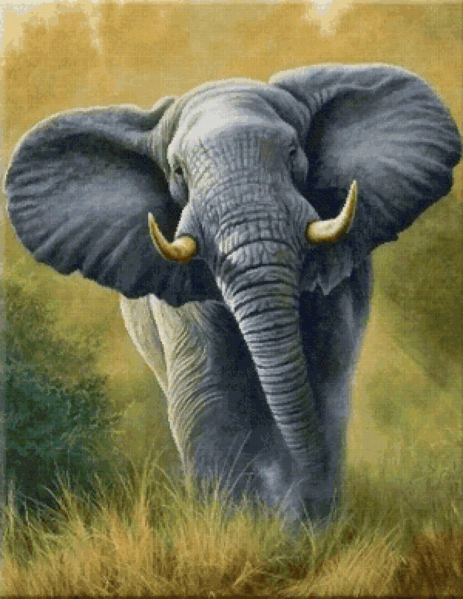 Слон - предпросмотр