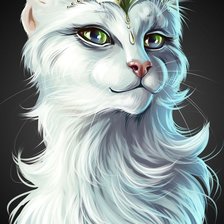 Ваша светлость