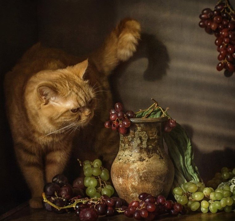 №2772995 - кот виноград ваза - оригинал