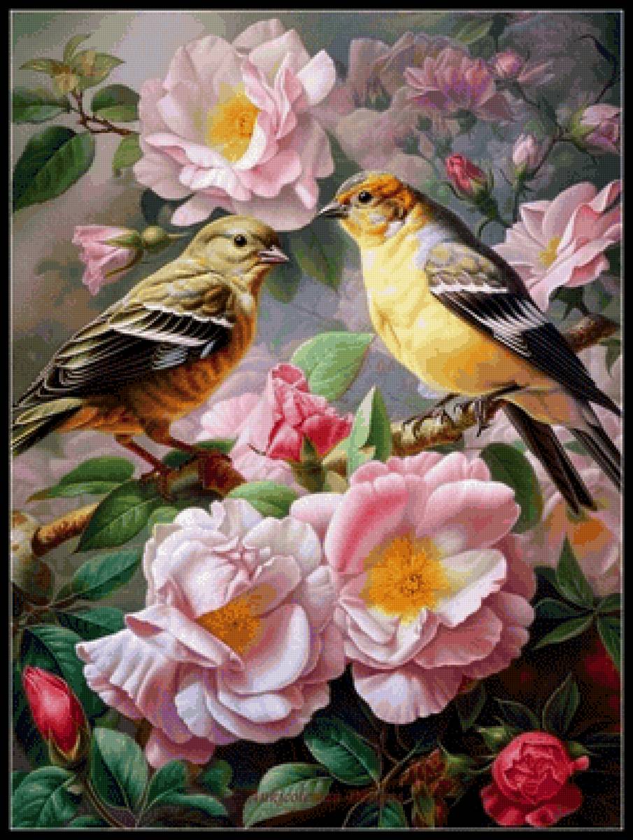 Птицы - предпросмотр