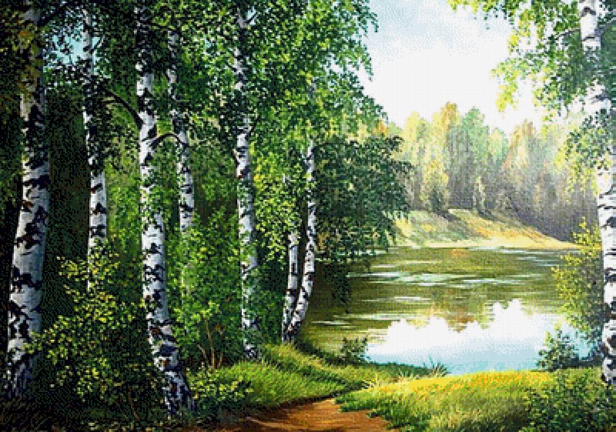 Березовая роща у реки. - лето, природа, день., береза, лесная дорога, река - предпросмотр