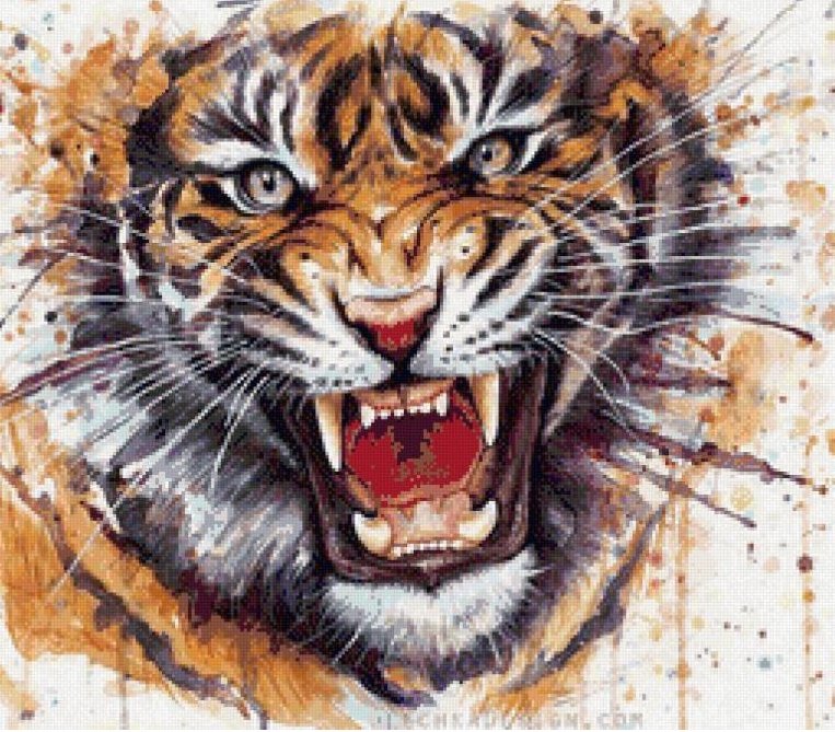 тигр рычит - тигр - оригинал