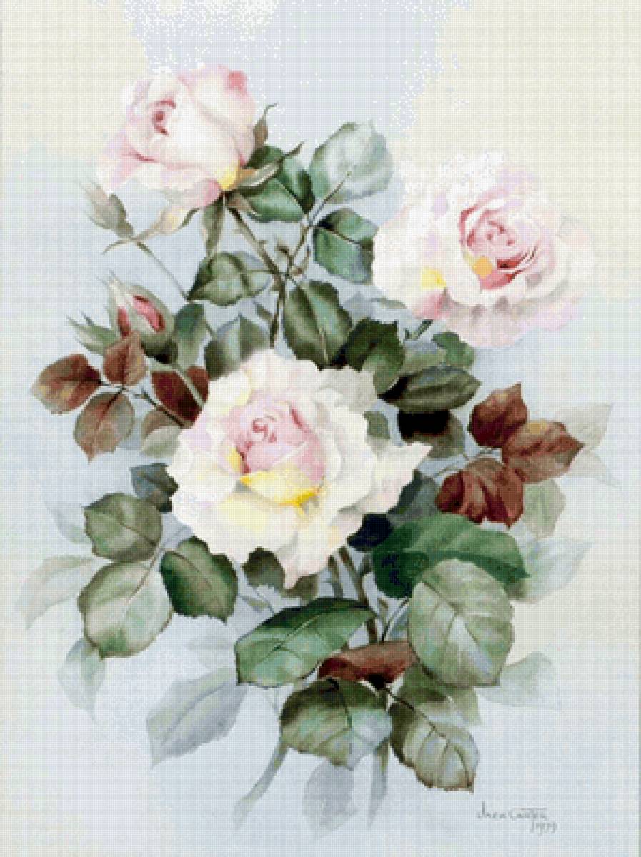 Розы - розы - предпросмотр