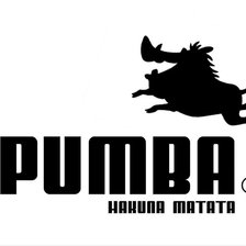 Схема вышивки «лого Пумба»