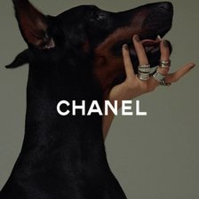 Схема вышивки «Бренд»