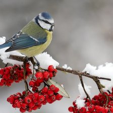 Схема вышивки «№2774131»