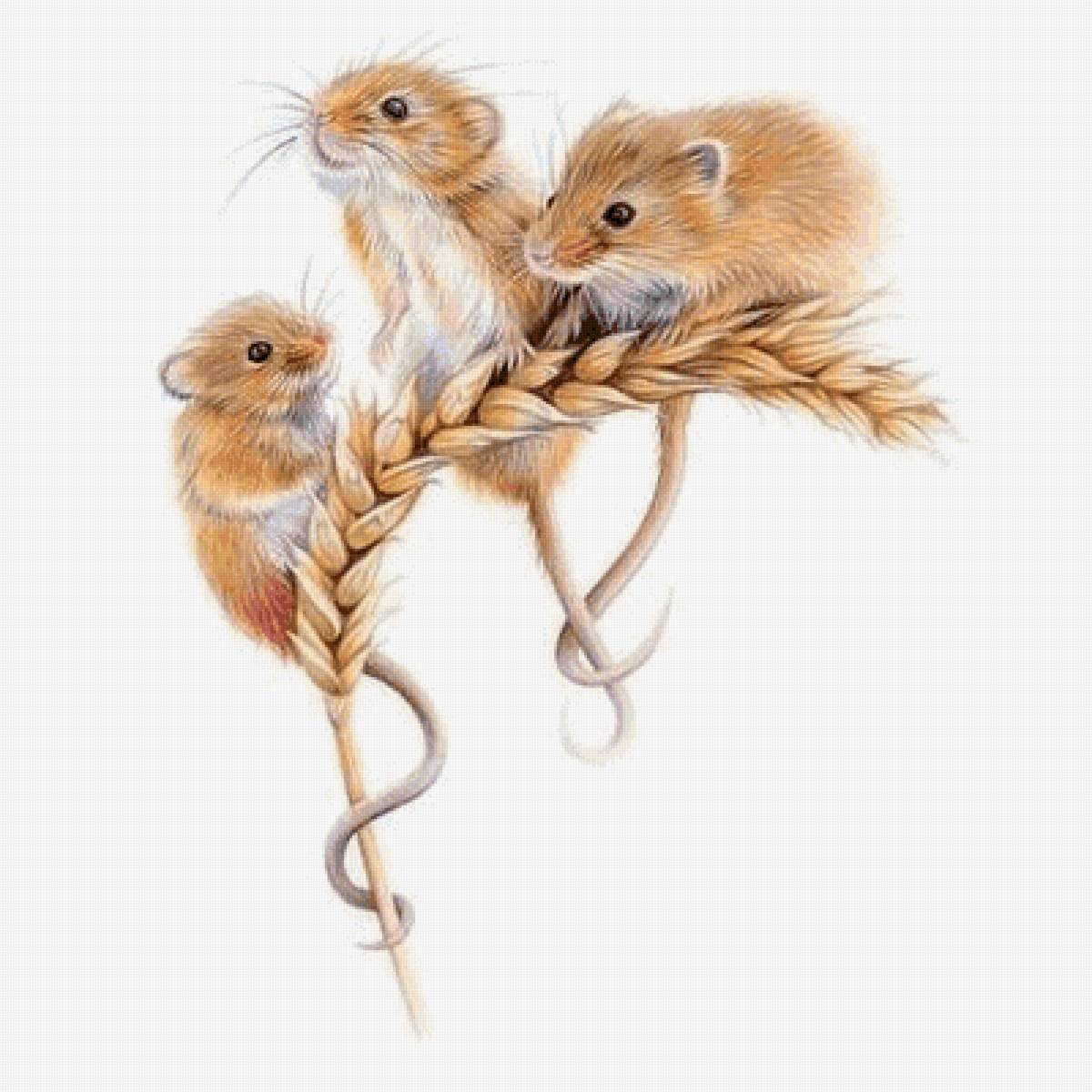 №2774151 - предпросмотр