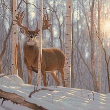 Схема вышивки «№2774247»