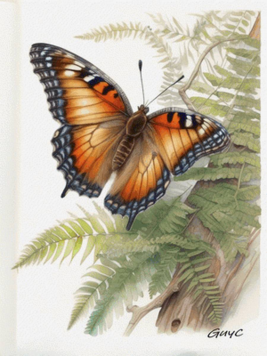 №2774262 - предпросмотр