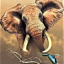 СЛОН - слон - оригинал