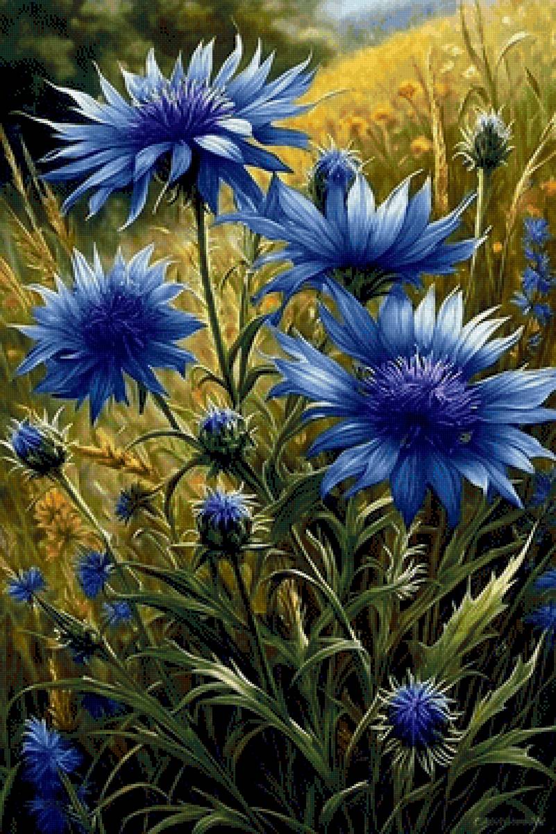 №2774464 - предпросмотр