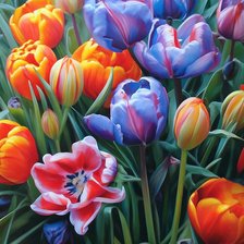 Схема вышивки «№2775300»