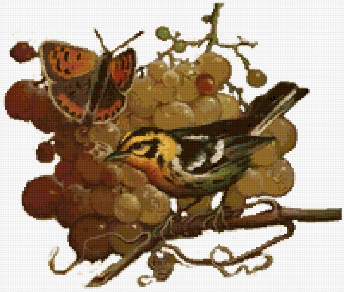 uvas - предпросмотр