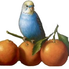 Схема вышивки «naranjas»