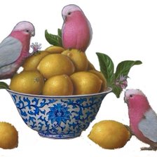 Схема вышивки «limones»