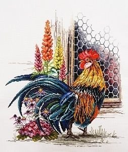 петух5 - птицы - оригинал