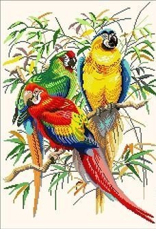 попугаи - птицы - оригинал