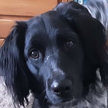 Схема вышивки «Body»