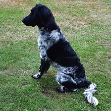 Схема вышивки «Body in Zelhem»