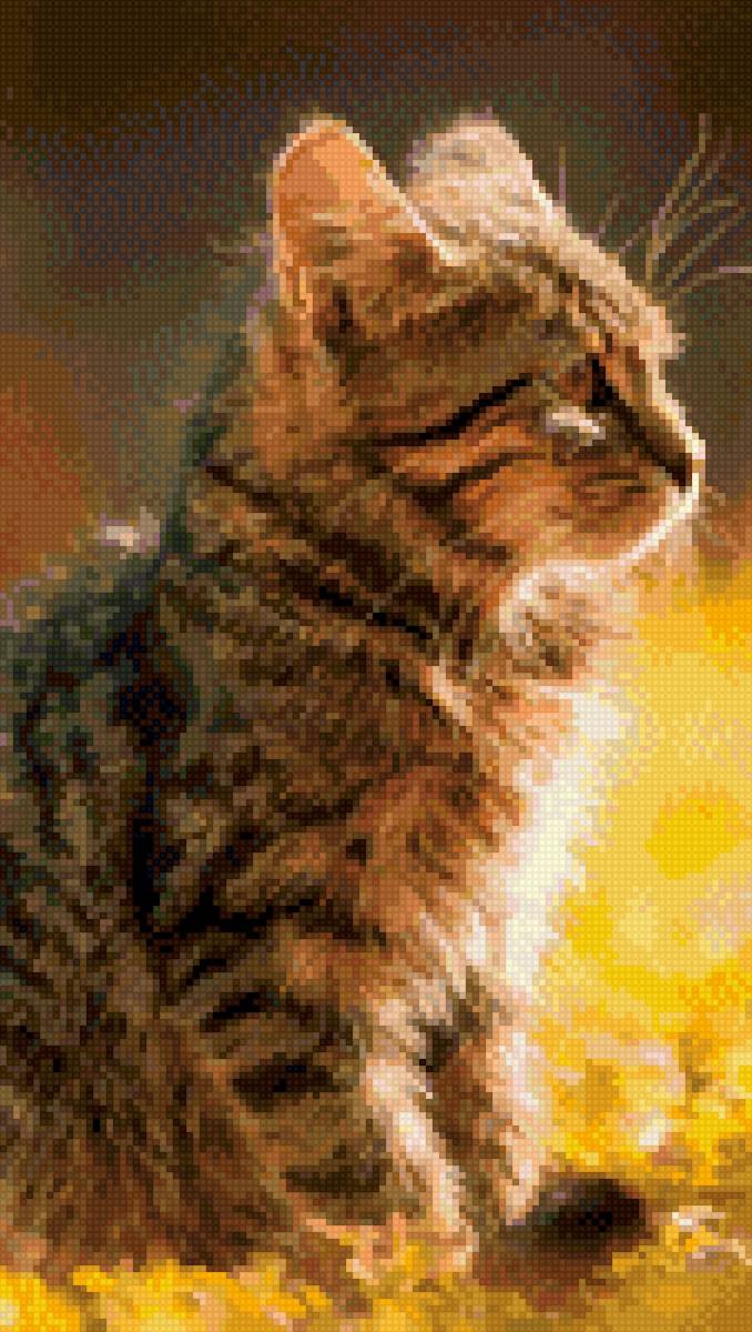 Котик - котик - предпросмотр