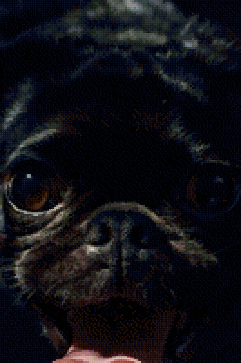 Мопс - животные, собаки - предпросмотр