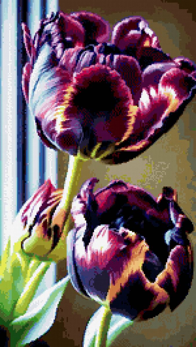 черные тюльпаны - букет, цветы, кухня, натюрморт, тюльпан - предпросмотр