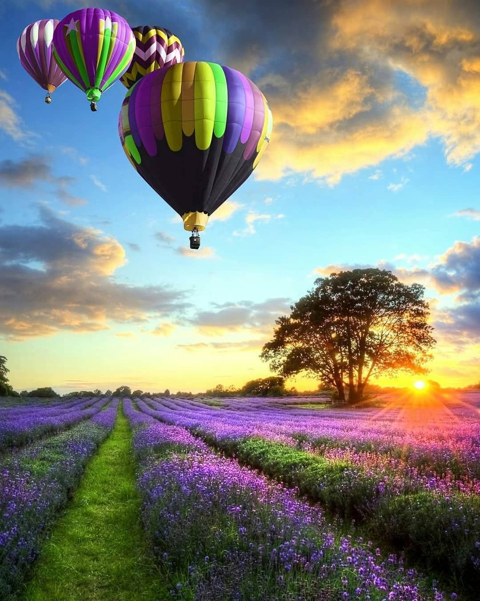 Воздушные шары - природа, закат - оригинал