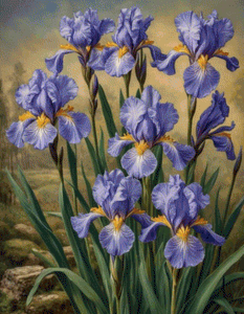 Irisi - flori - предпросмотр