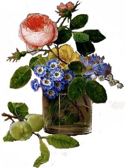 manzanas - оригинал