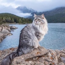 Схема вышивки «Моя Норвегия»