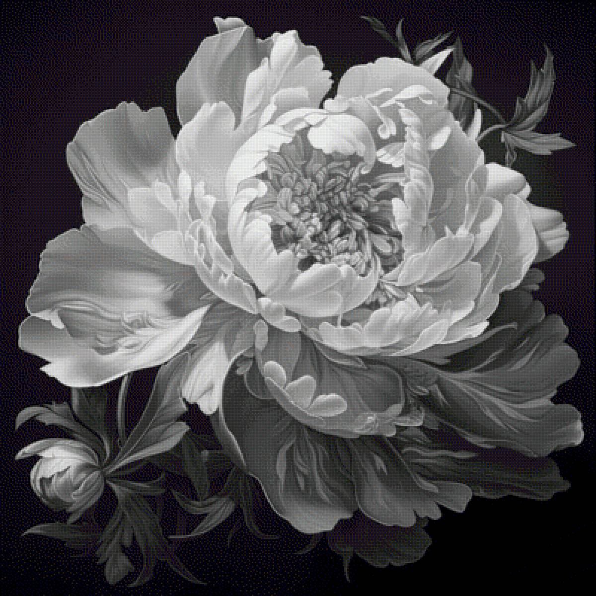 №2778838 - предпросмотр