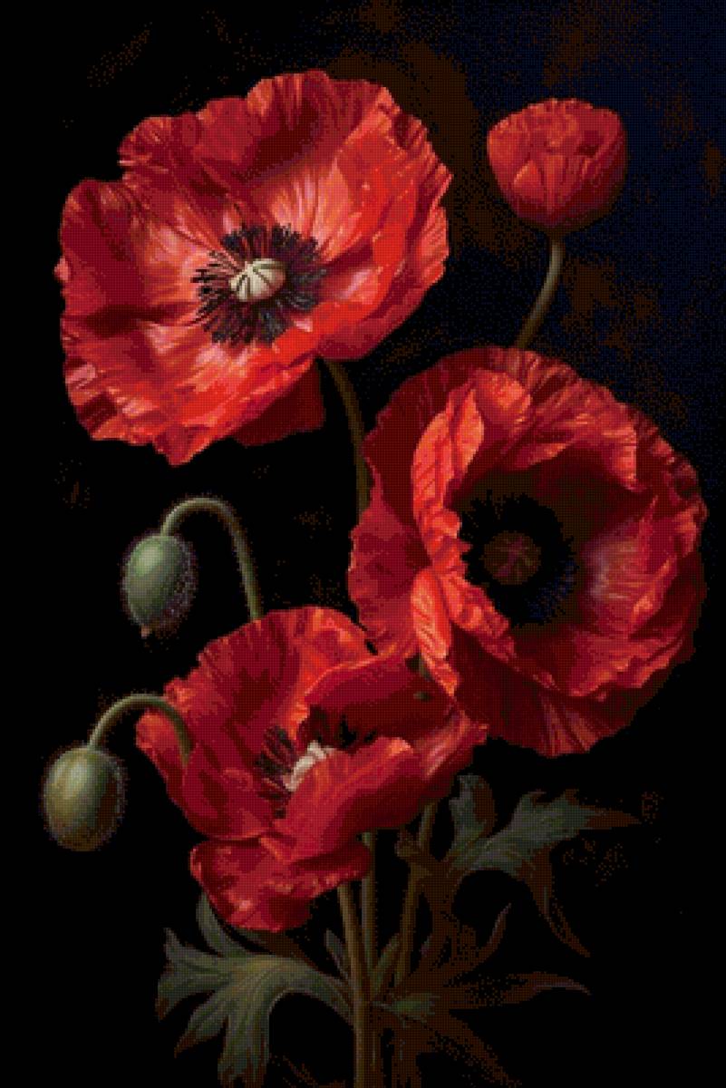 Маки - маки - предпросмотр