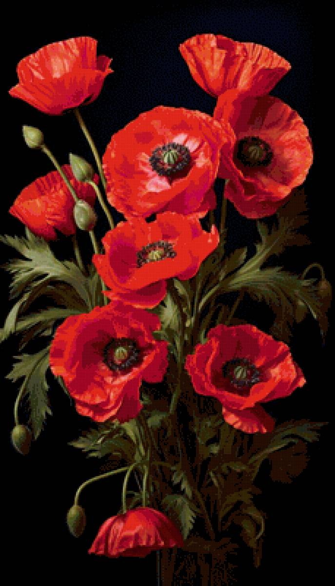 Маки - маки - предпросмотр