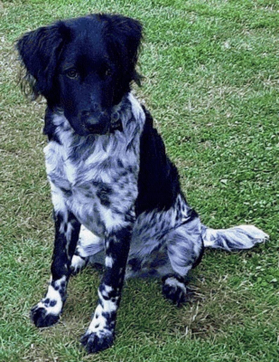 Body in Zelhem - zelhem, body - предпросмотр