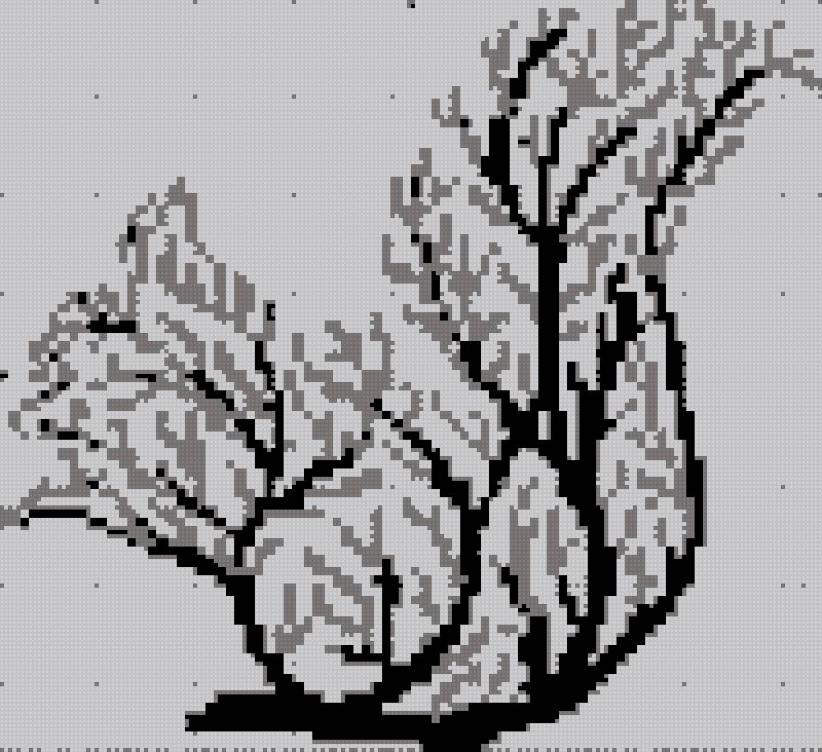 белка - монохром - предпросмотр