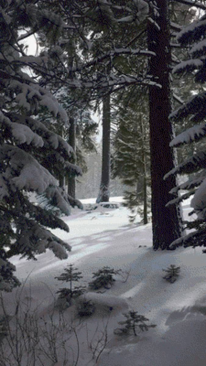 №2780785 - предпросмотр