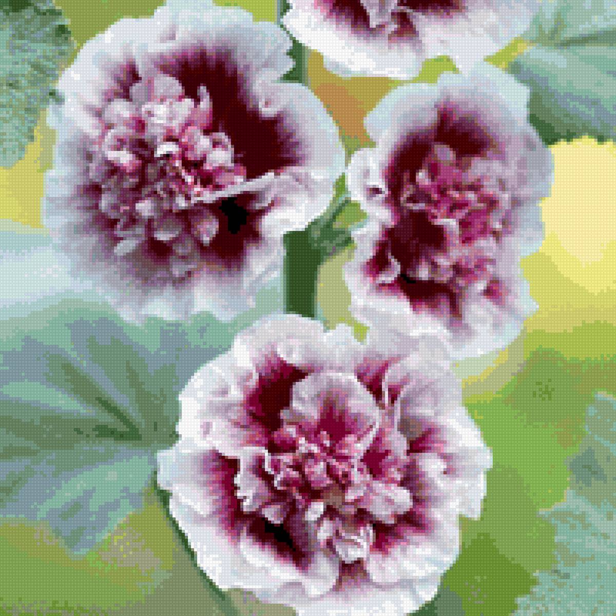 мальва - мальва, цветы - предпросмотр