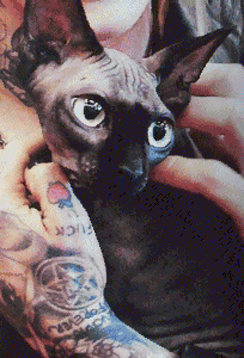 Сфинкс 2 - предпросмотр