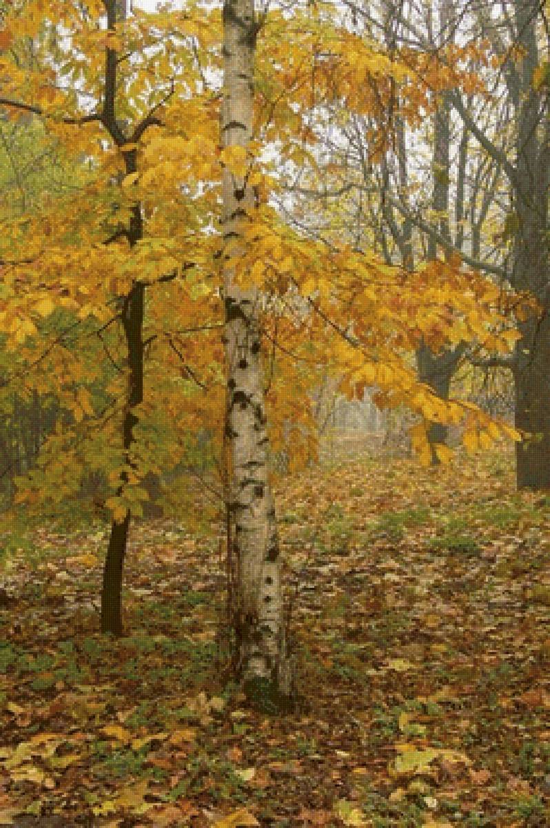 Осенние краски - фотографии - предпросмотр