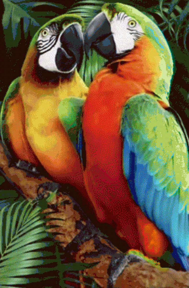 Попугаи - попугаи, яркое, лето - предпросмотр