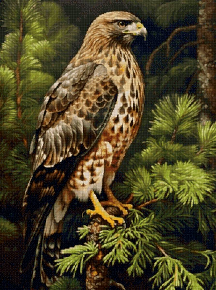 5533 - предпросмотр