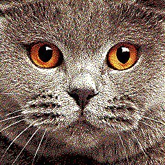 кошка10 - кот, картина, животные, кошка, кухня, котенок, живопись - оригинал