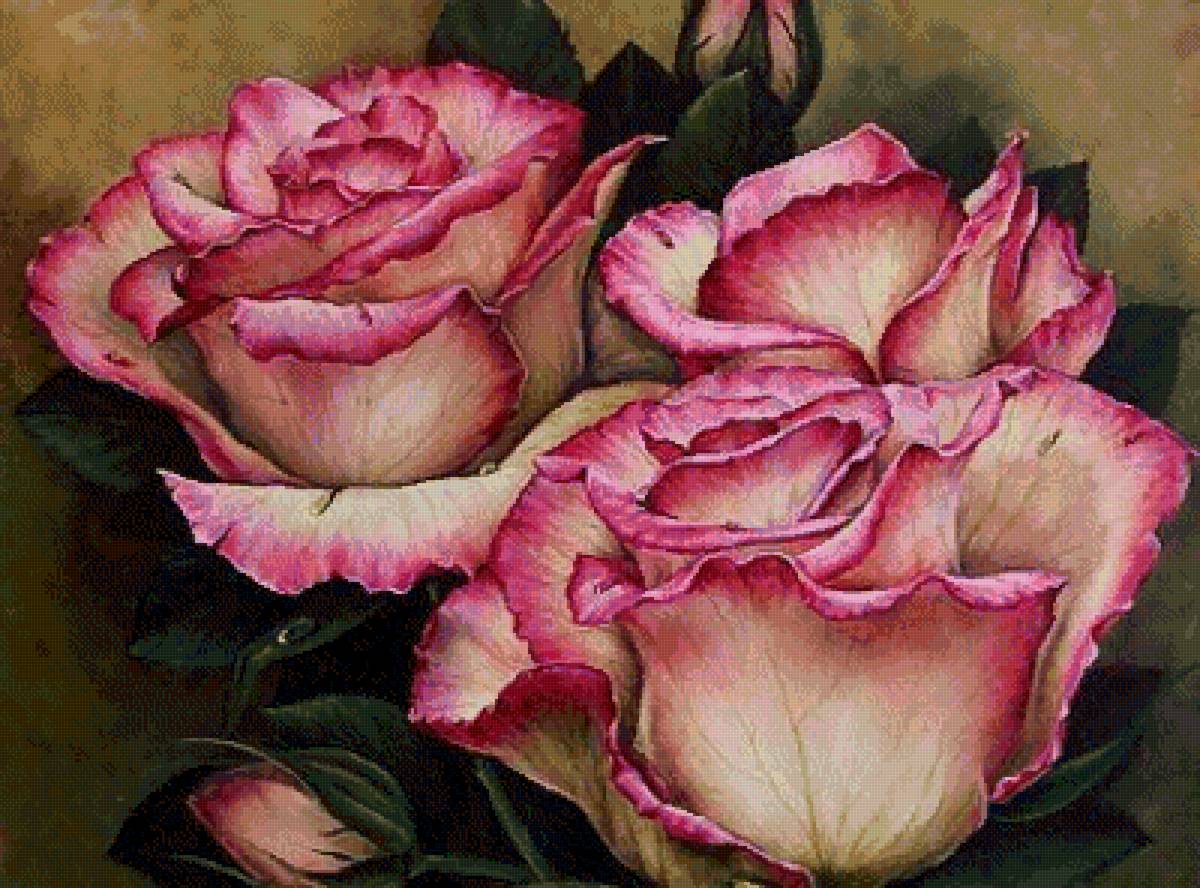 розы - предпросмотр