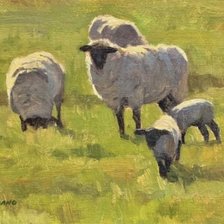 Схема вышивки «Овечки»