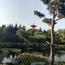 Схема вышивки «Японский сад»