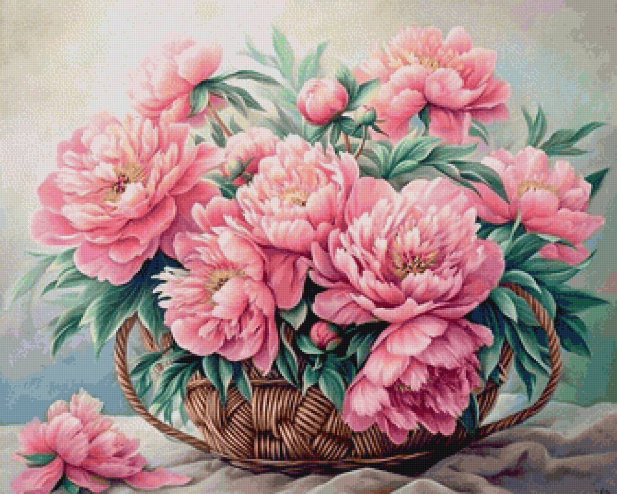 Пионы в корзине - цветы, корзина, пионы - предпросмотр